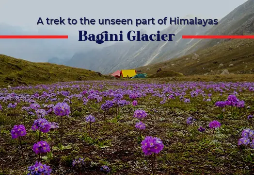 Bagini Glacier Trek - Unseen Part of Himalayas with TTH